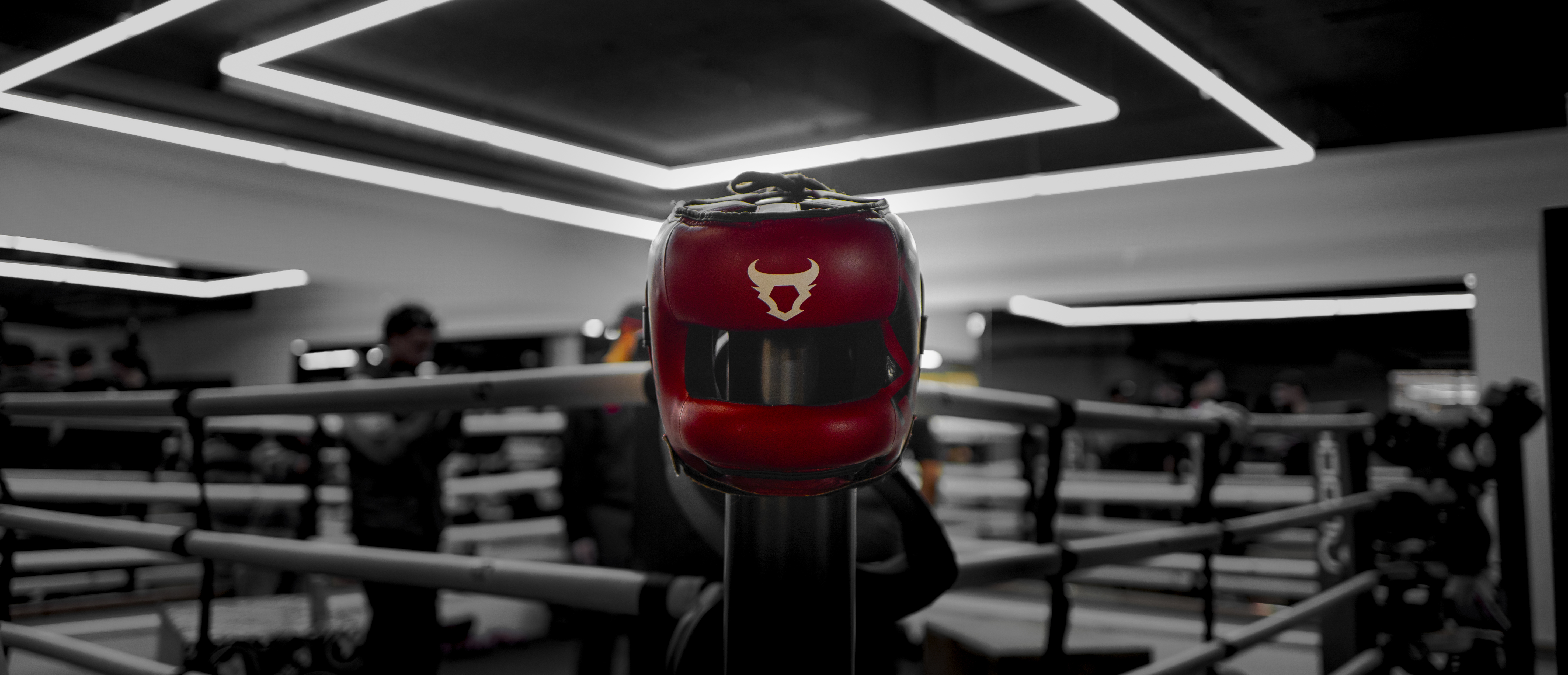 Ringhorns Helmet