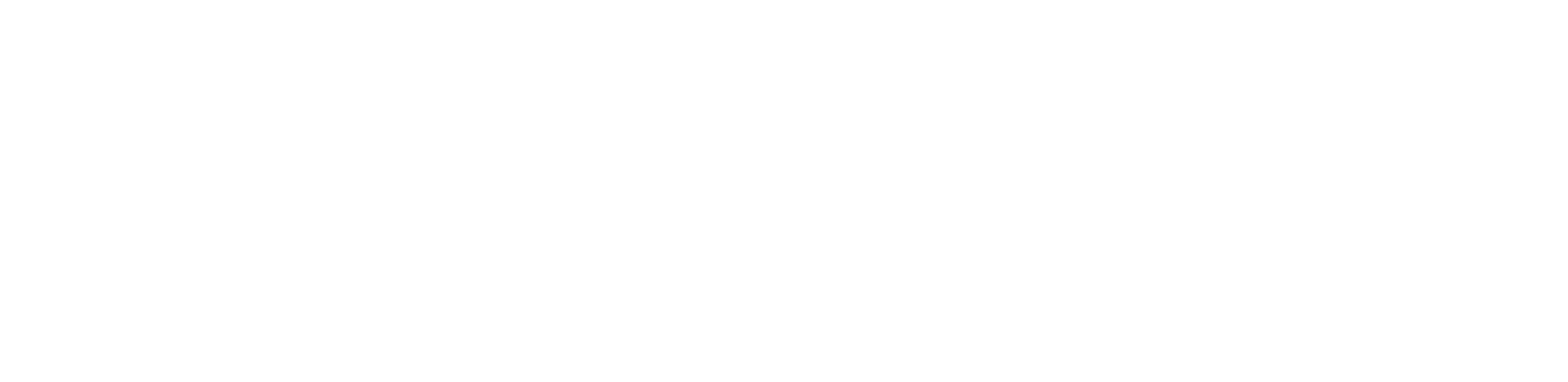 Insane Production Logo